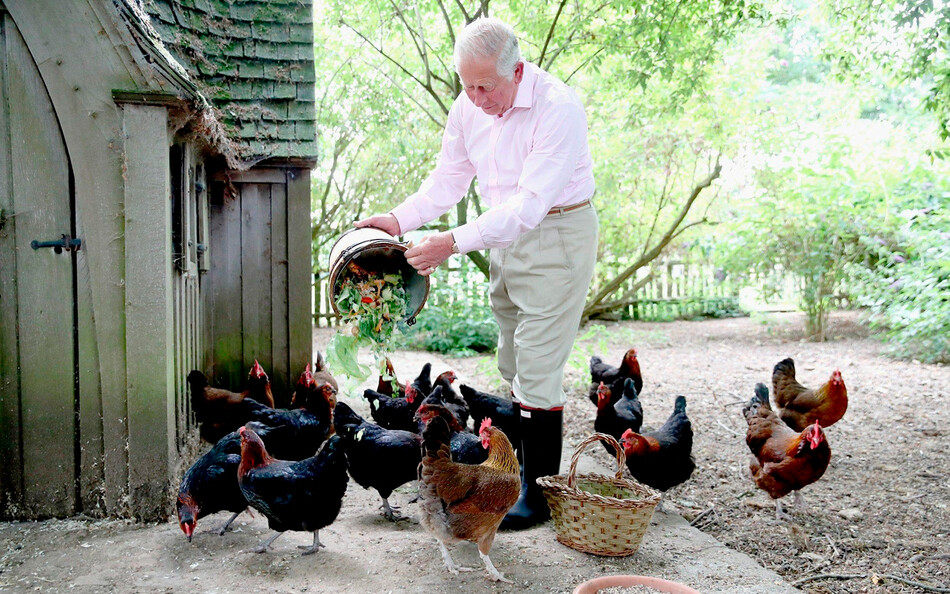 Принц Чарльз прогуливается по садам Хайгроув-Хаус в июле 2018 года