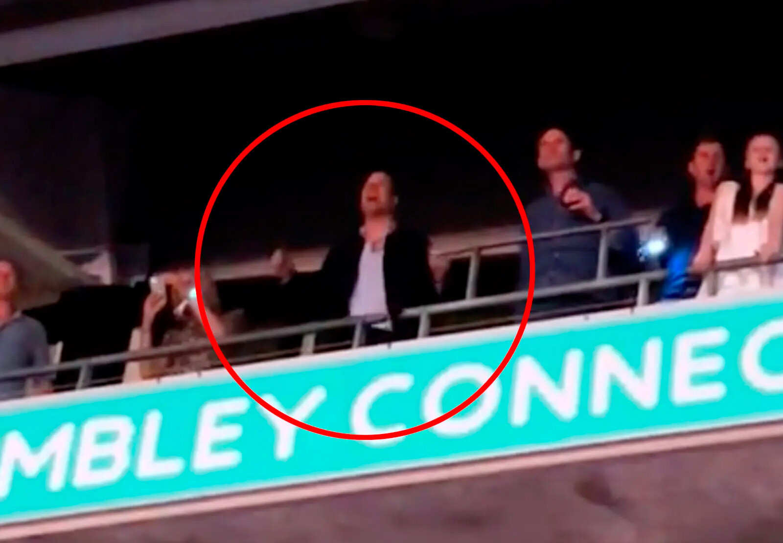 Принц Уильям во время концерта Тейлор Свифт Eras Tour в Лондоне, 2024