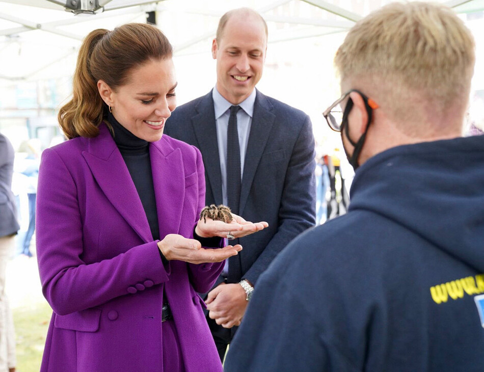 Kate_Middleton_tarantula_Charlotte_02_Mainstyle.jpg