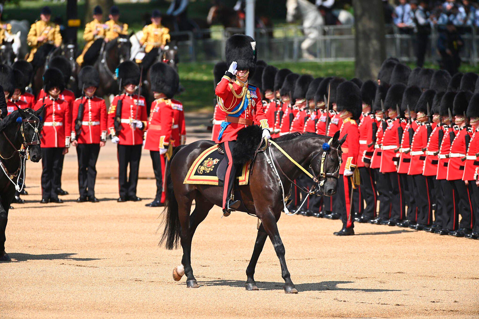 Принц Уильям руководил шествием на репетиции Trooping the Colour, однако не обошлось без происшествий