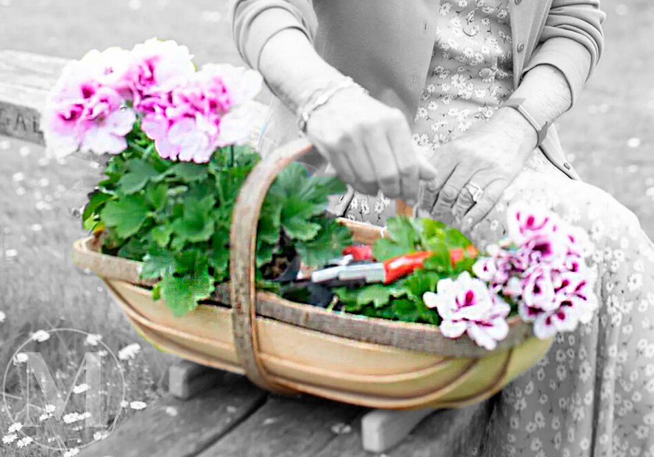 Тайное значение корзины с цветами на фотографии Камиллы Паркер-Боулз для глянцевого издания Country Life, 2022