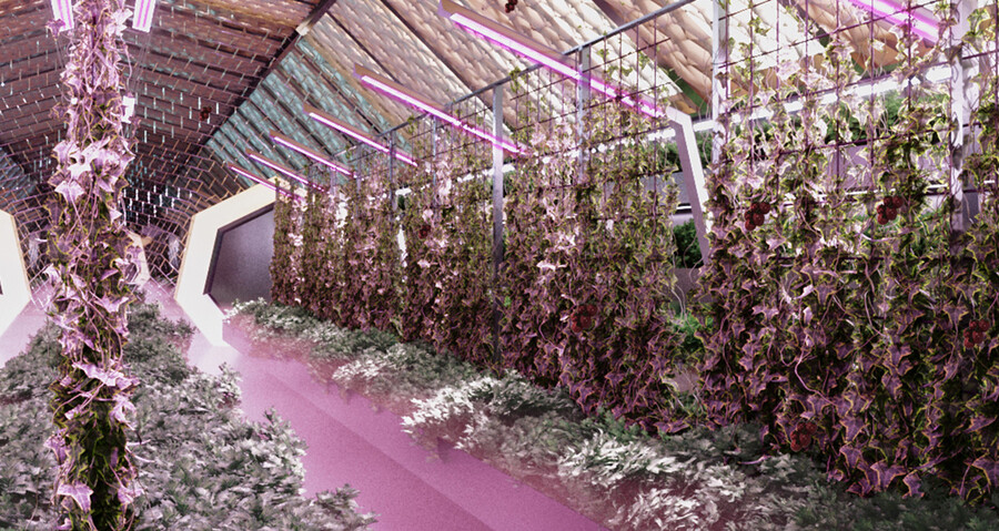 Теплицы с автономной гидропонной системой