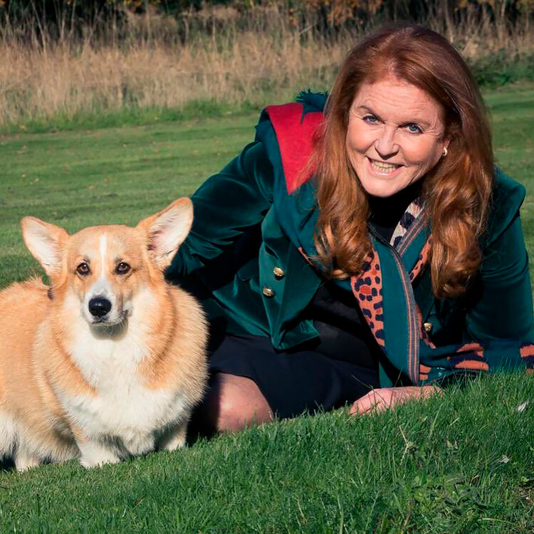 Сара Фергюсон выгуливает корги королевы Елизаветы II во дворе Королевской ложи 15 октября 2022 года, Англия