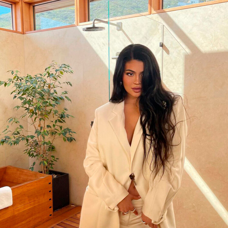 Кайли Дженнер показала сумочку из стекла за $2 700