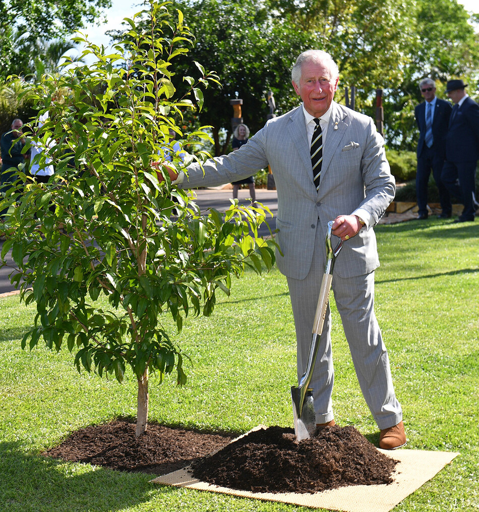 Принц Чарльз, 2019