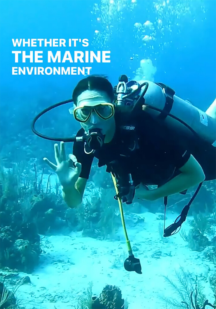 Герцогиня Кембриджская продемонстрировали свои навыки подводного плавания во время королевского тур по странам Карибского бассейна, 2022