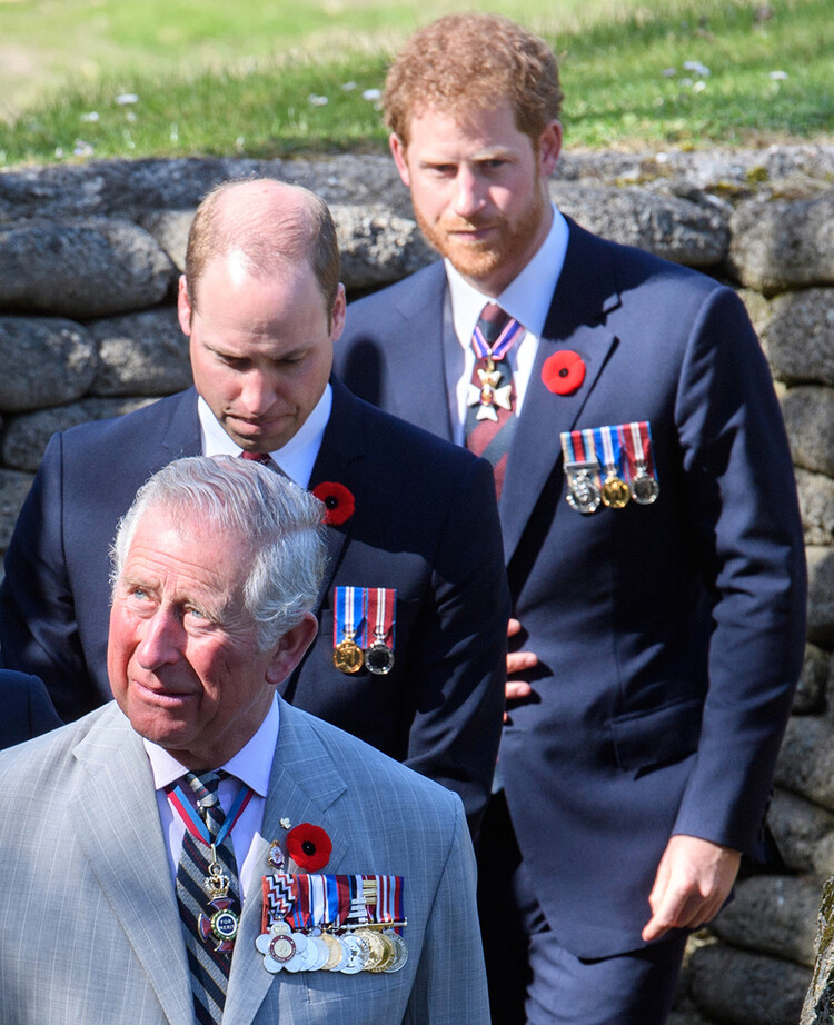 Книга принца Гарри реакция семьи