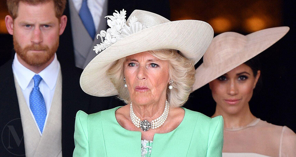 Хватило всего двух слов: Что Камилла Паркер-Боулз сказала об уходе принца Гарри и Меган Маркл