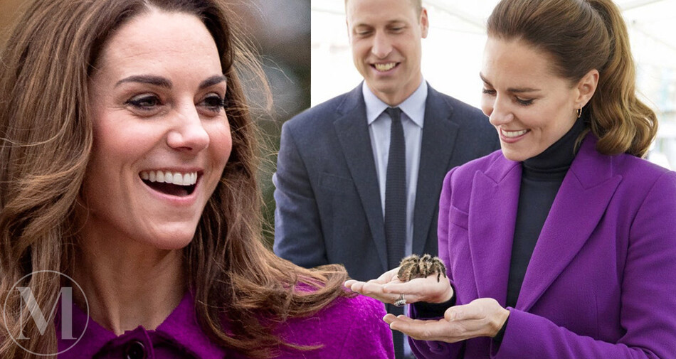 Kate_Middleton_tarantula_Charlotte_01_Mainstyle.jpg
