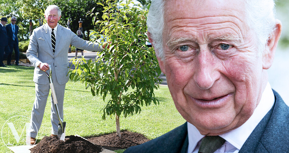 Принц Чарльз запускает свой эко-телеканал