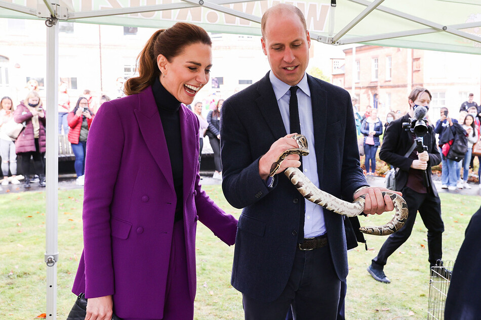 Kate_Middleton_tarantula_Charlotte_03_Mainstyle.jpg