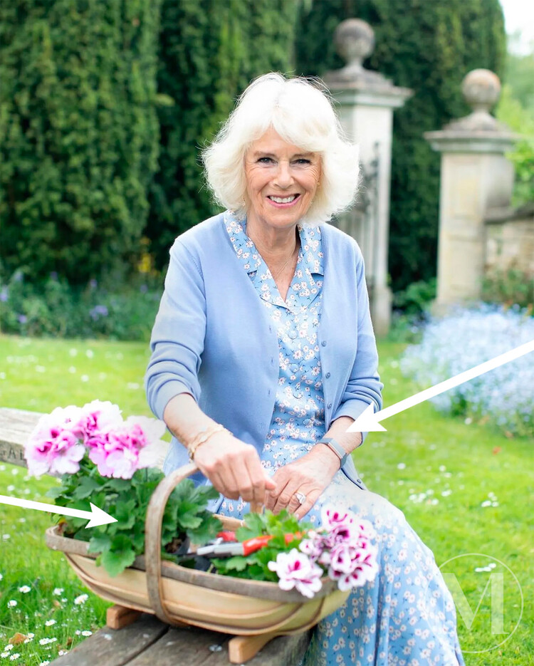 3 неожиданные детали обложки с Камиллой Паркер-Боулз, которые незаметны на первый взгляд