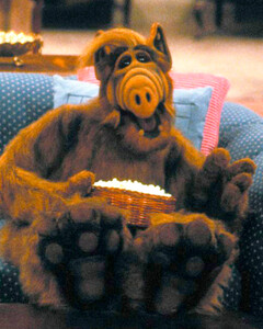 7 добрых сериалов для просмотра всей семьей