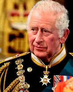 Почему Букингемский дворец скрыл точный диагноз короля Карла III?