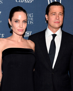 Анджелина Джоли выиграла у Брэда Питта войну за французскую винодельню