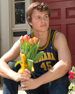 «Ноябрьские преступники» и другие фильмы с Энселом Эльгортом, которые стоит посмотреть