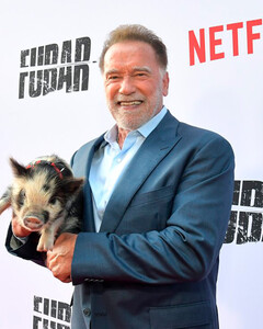 Арнольд Шварценеггер рассказал, какой фильм принёс ему больше всего денег