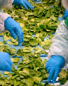 «Белая Дача» стала брендом-волонтёром