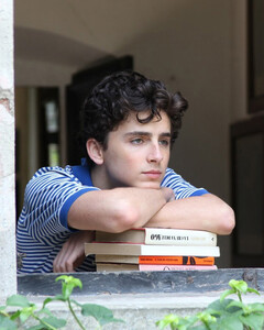 Не стоит ждать продолжения «Назови меня своим именем»