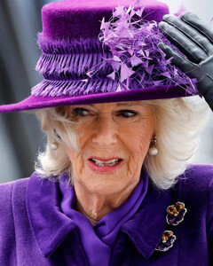 Новые осложнения: Камилла Паркер-Боулз отменяет встречи из-за последствий коронавирусной инфекции