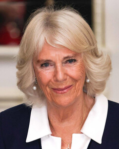 Камилла Паркер-Боулз может занять должность Меган Маркл