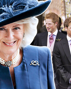 Правда об отношениях Камиллы Паркер-Боулз и детей принцессы Дианы