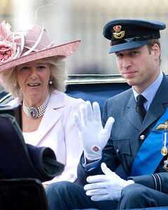 Почему Камилле Паркер-Боулз срочно понадобился алкоголь после встречи с принцем Уильямом?