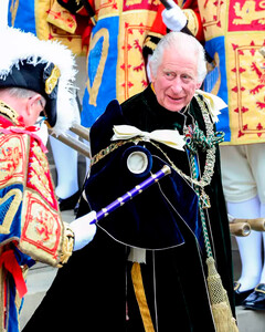 Карл III выбрал особую фотографию для благодарственных писем, которые он разошлёт своим поклонникам