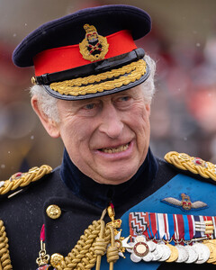 Карл III не будет исполнять королевские обязанности из-за проблем со здоровьем