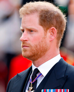 Представитель короля Карла III ответил на слухи о том, что принц Гарри «последним узнал» о смерти королевы