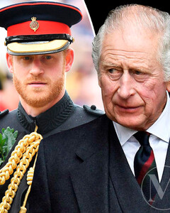 Король Карл III отобрал у принца Гарри звание генерал-капитана и забрал его себе