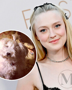 Дакота Фаннинг призналась, что носит ожерелье из шерсти своей покойной собаки