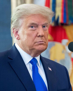 Начинается процесс второго импичмента Дональду Трампу