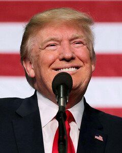 Детей Дональда Трампа по-прежнему содержат налогоплательщики США