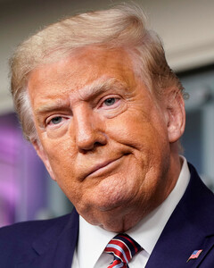 Правительство США может досрочно снять Дональда Трампа с поста президента