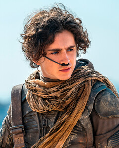 Космические гладиаторы и поиск себя: каким вышло продолжение «Дюны» Дени Вильнёва?