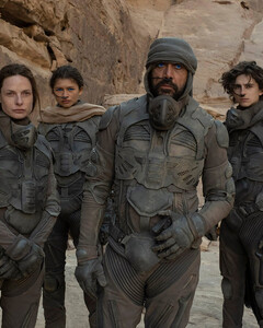 «Дюна. Часть вторая»: Warner Bros. подтвердили съёмки продолжения фильма Дени Вильнёва