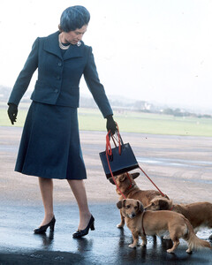 Силы на исходе: Елизавета II не может выгуливать своих любимых собак из-за проблем со здоровьем