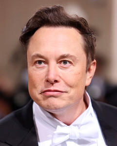 Юристы Twitter утверждают, что Илон Маск передумал покупать соцсеть из-за веры в скорое начало Третьей мировой войны