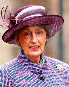 Малоизвестные факты о крёстной принца Уильяма, фрейлине королевы — Леди Сьюзан Хасси