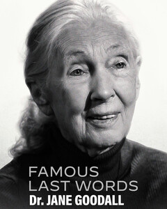 Netflix запустил проект с интервью умерших знаменитостей