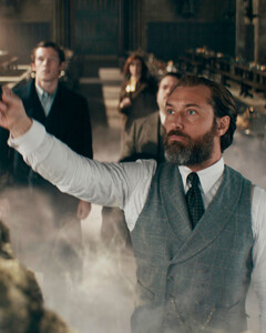 Сказка кончилась: Warner Bros. думает закрыть «Фантастических тварей» из-за неудач