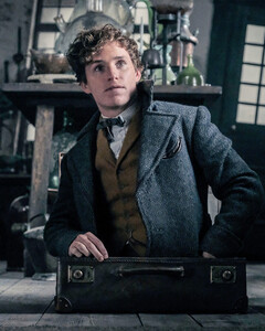 Съёмки «Фантастических тварей 3» приостановлены