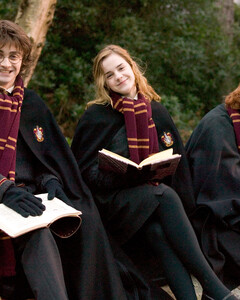 Гарри Поттера признали лучшей экранизацией книги