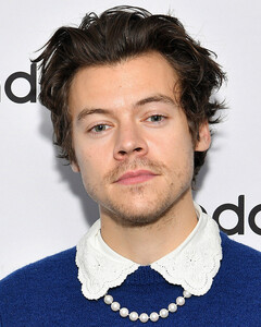 Гарри Стайлс носит усы в стиле 70-х