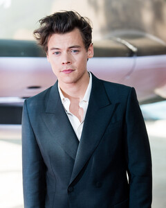 Гарри Стайлс получил свою вторую роль в карьере