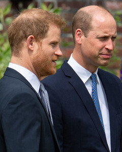 Почему принцы Гарри и Уильям не выступили с речью на открытии мемориала принцессе Диане