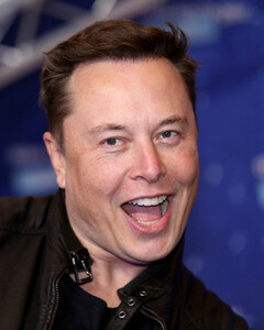 Илон Маск выделит 100 миллионов долларов на борьбу с глобальным потеплением