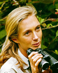 Ушла из жизни легендарная исследовательница шимпанзе Джейн Гудолл