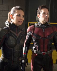 Шоураннер «Человека-муравья и Осы» Джефф Лавнесс напишет сценарий «Мстителей: Династия Канга»